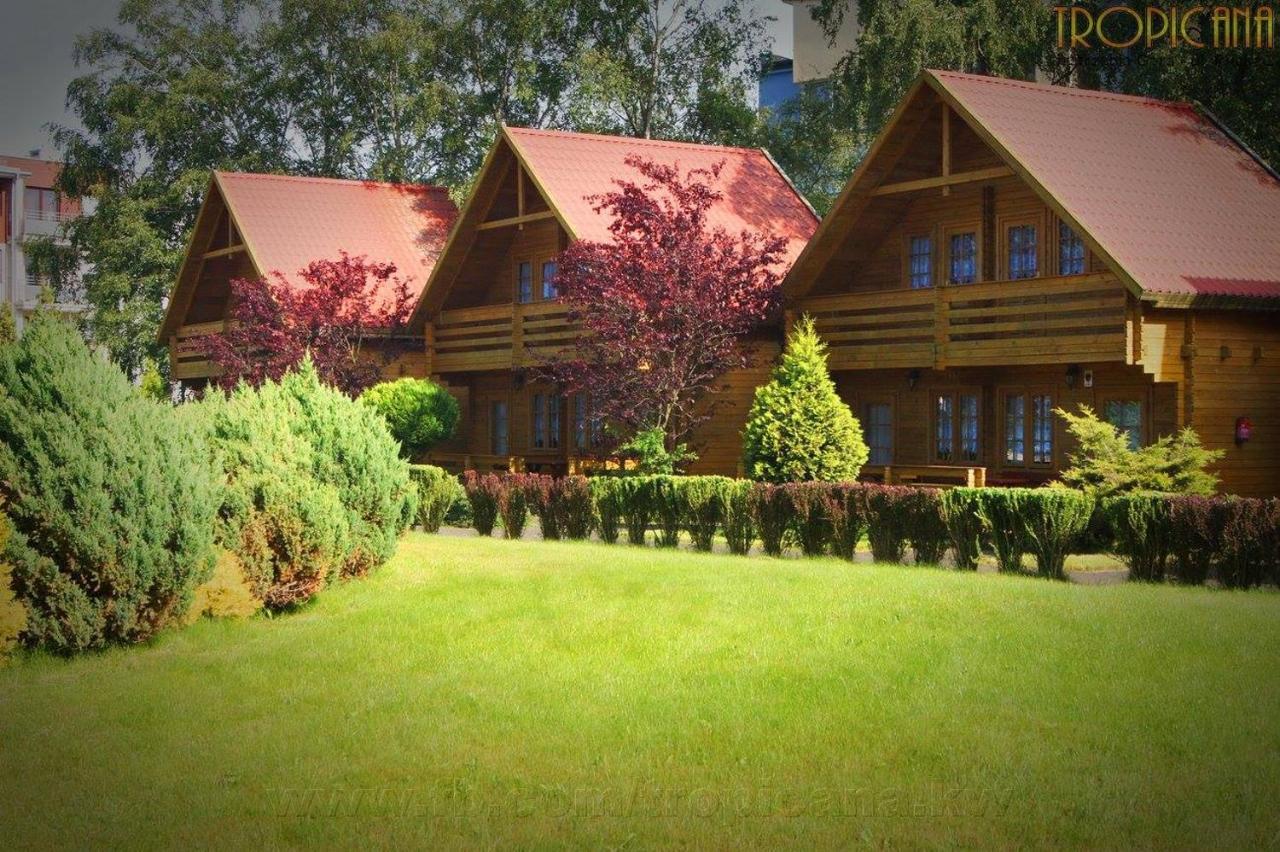 Tropicana Ϫϫ Jastrzębia Góra Extérieur photo