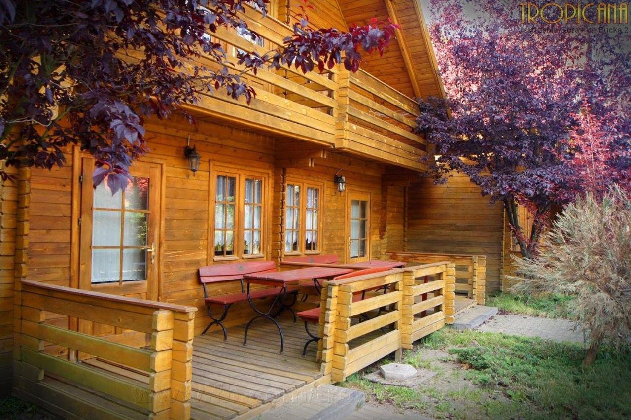 Tropicana Ϫϫ Jastrzębia Góra Extérieur photo
