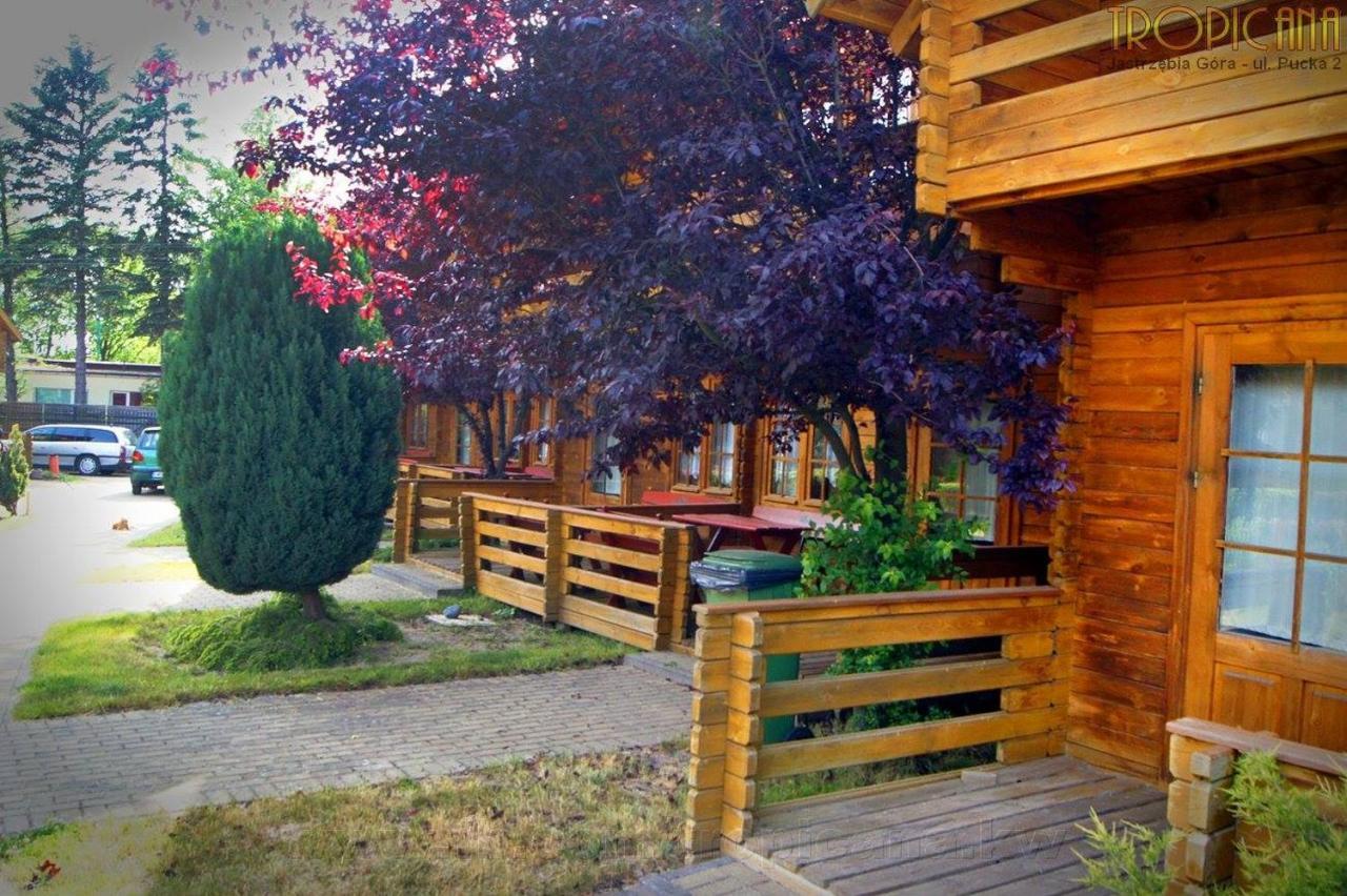 Tropicana Ϫϫ Jastrzębia Góra Extérieur photo