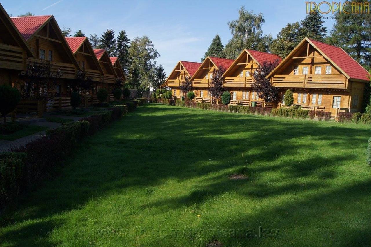 Tropicana Ϫϫ Jastrzębia Góra Extérieur photo