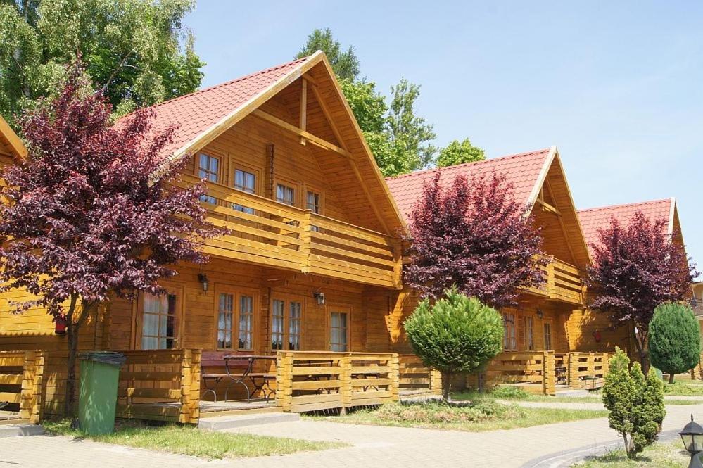 Tropicana Ϫϫ Jastrzębia Góra Extérieur photo